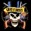 O Guns N'Roses...